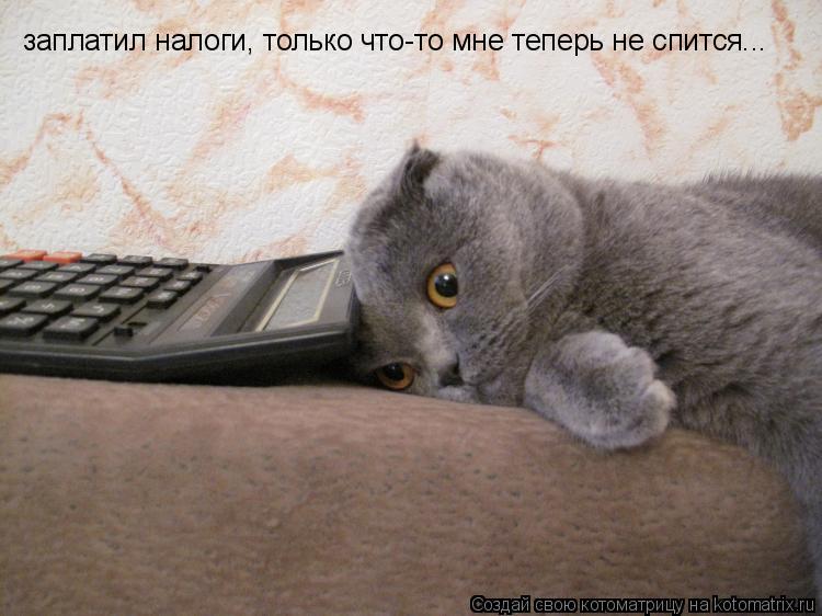 заплатил налоги, только что-то мне теперь не спится...... Котоматрица: заплатил налоги, только что-то мне теперь не спится...