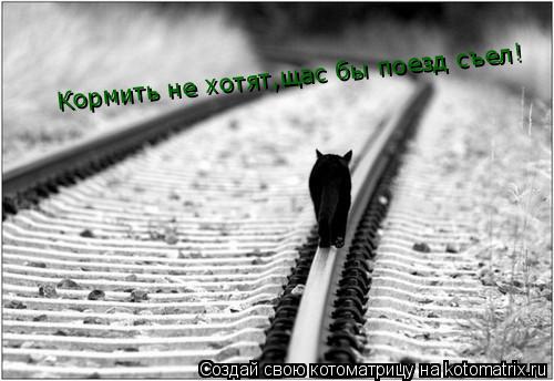 Кормить не хотят,щас бы поезд съел!... Котоматрица: Кормить не хотят,щас бы поезд съел!