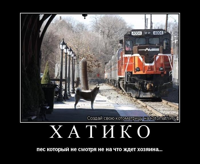 Котоматрица: ХАТИКО пес который не смотря не на что ждет хозяина...