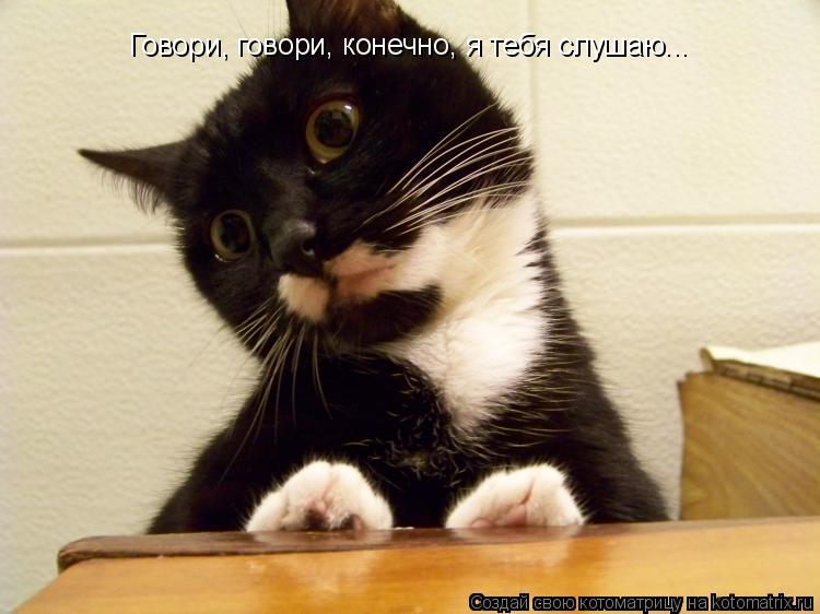 Говори, говори, конечно, я тебя слушаю...... Котоматрица: Говори, говори, конечно, я тебя слушаю...