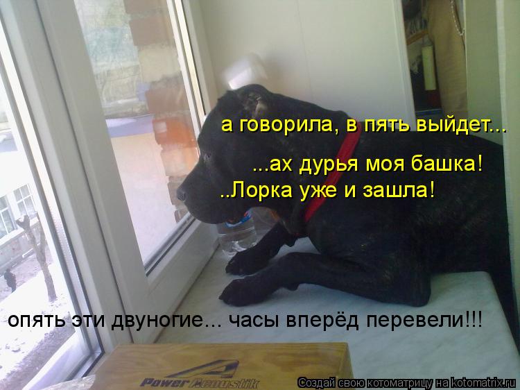 а говорила, в пять выйдет... ...ах дурья моя башка! ..Лорка уже и зашла! опять эти двуногие... часы в... Котоматрица: а говорила, в пять выйдет... ...ах дурья моя башка! ..Лорка уже и зашла! опять эти двуногие... часы вперёд перевели!!!