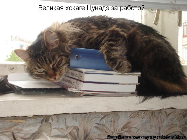 Котоматрица: Великая хокаге Цунадэ за работой.