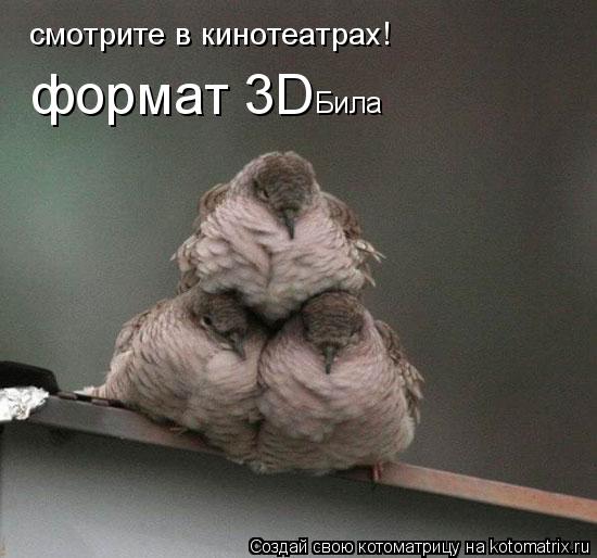 Котоматрица: формат 3D Била смотрите в кинотеатрах!