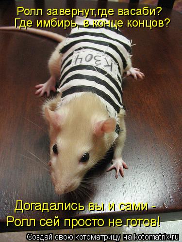 Котоматрица: Ролл завернут,где васаби? Где имбирь, в конце концов? Догадались вы и сами - Ролл сей просто не готов!