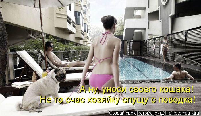Котоматрица: А ну, уноси своего кошака! Не то счас хозяйку спущу с поводка!
