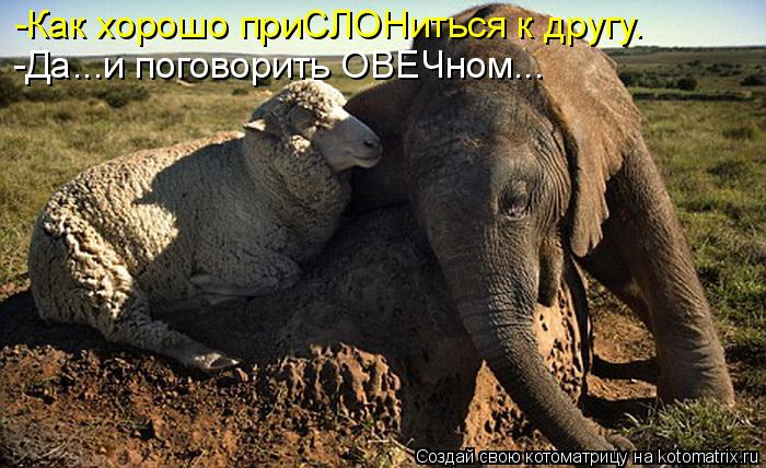 http://kotomatrix.ru/images/lolz/2010/03/27/527274.jpg