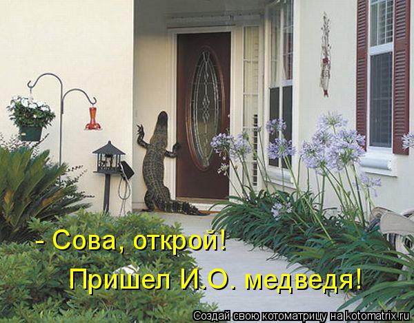 - Сова, открой! Пришел И.О. медведя!... Котоматрица: - Сова, открой! Пришел И.О. медведя!