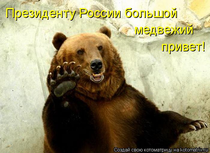 Котоматрица: Президенту России большой медвежий привет!