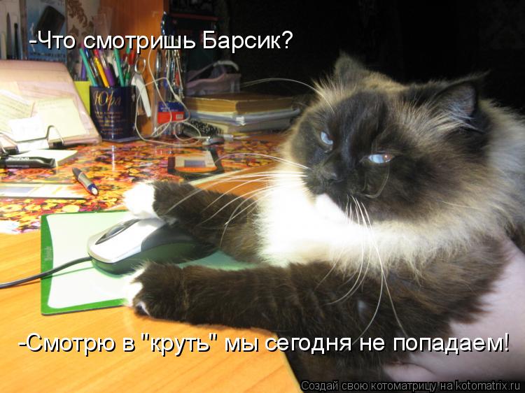 Котоматрица: -Что смотришь Барсик? -Смотрю в "круть" мы сегодня не попадаем!