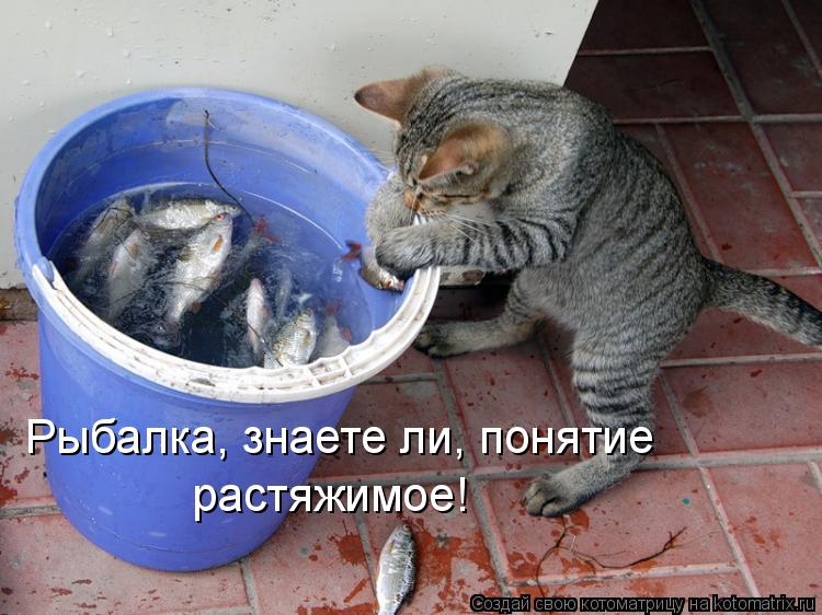 Рыбалка, знаете ли, понятие растяжимое!... Котоматрица: Рыбалка, знаете ли, понятие растяжимое!