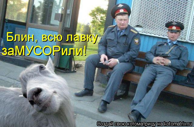 Блин, всю лавку заМУСОРили!... Котоматрица: Блин, всю лавку заМУСОРили!