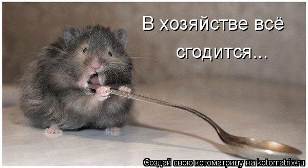 Котоматрица: В хозяйстве всё  сгодится...