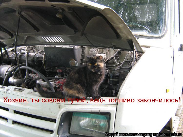 Котоматрица: Хозяин, ты совсем тупой, ведь топливо закончилось!