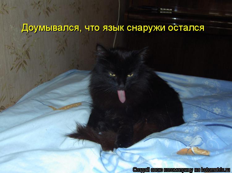 Котоматрица: Доумывался, что язык снаружи остался