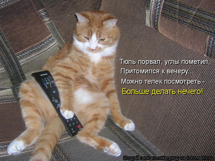 Тюль порвал, углы пометил, Притомился к вечеру... Можно телек посмотреть - Больше делать нечего!... Котоматрица: Тюль порвал, углы пометил, Притомился к вечеру... Можно телек посмотреть - Больше делать нечего!