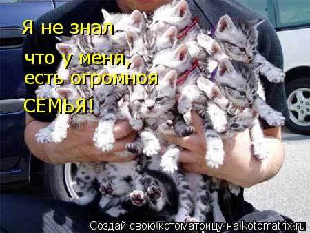 Котоматрица: Я не знал Я не знал что у меня, есть огромноя СЕМЬЯ!