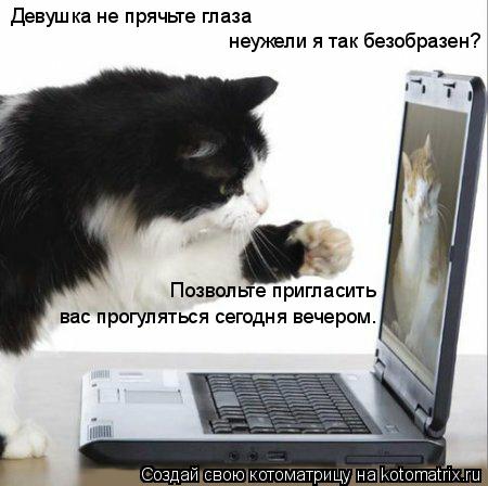 Девушка не прячьте глаза неужели я так безобразен? Позвольте пригласить вас прогуляться сегодня вечер... Котоматрица: Девушка не прячьте глаза неужели я так безобразен? Позвольте пригласить вас прогуляться сегодня вечером.