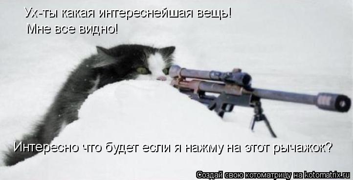 Ух-ты какая интереснейшая вещь! Мне все видно! Интересно что будет если я нажму на этот рычажок?... Котоматрица: Ух-ты какая интереснейшая вещь! Мне все видно! Интересно что будет если я нажму на этот рычажок?
