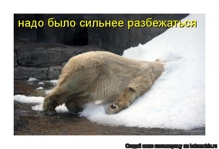 надо было сильнее разбежаться... Котоматрица: надо было сильнее разбежаться