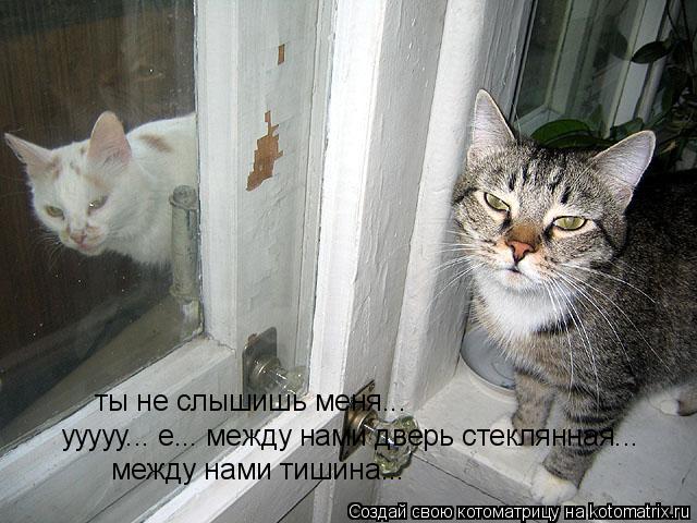 ууууу... е... между нами дверь стеклянная... между нами тишина... ты не слышишь меня...... Котоматрица: ууууу... е... между нами дверь стеклянная... между нами тишина... ты не слышишь меня...