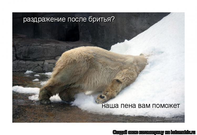 раздражение после бритья? наша пена вам поможет... Котоматрица: раздражение после бритья? наша пена вам поможет