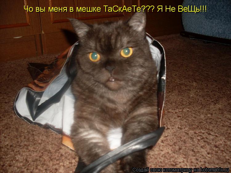 Чо вы меня в мешке ТаСкАеТе??? Я Не ВеЩь!!!... Котоматрица: Чо вы меня в мешке ТаСкАеТе??? Я Не ВеЩь!!!