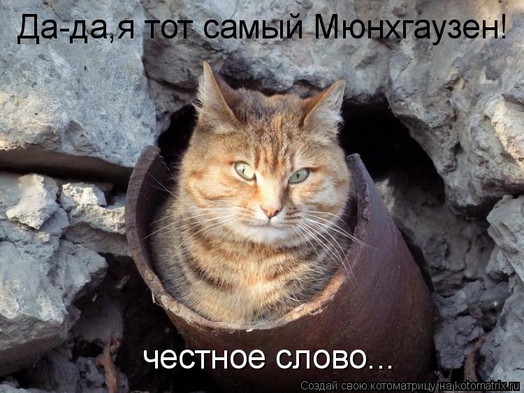 Да-да,я тот самый Мюнхгаузен! честное слово...... Котоматрица: Да-да,я тот самый Мюнхгаузен! честное слово...