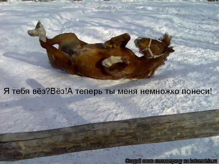 Я тебя вёз?Вёз!А теперь ты меня немножко понеси!... Котоматрица: Я тебя вёз?Вёз!А теперь ты меня немножко понеси!