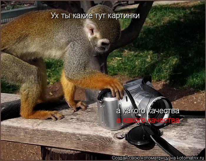 Ух ты какие тут картинки Ух ты какие тут картинки а какого качества а какого качества... Котоматрица: Ух ты какие тут картинки Ух ты какие тут картинки а какого качества а какого качества