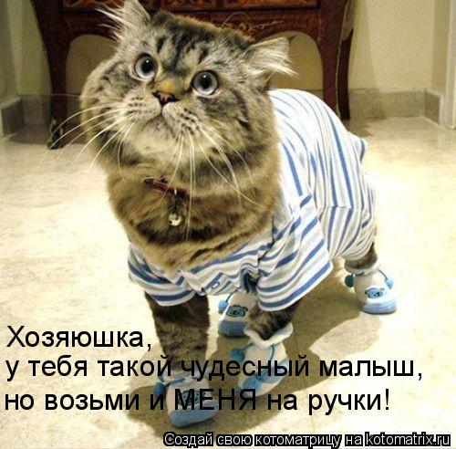 Хозяюшка, у тебя такой чудесный малыш, но возьми и МЕНЯ на ручки!... Котоматрица: Хозяюшка, у тебя такой чудесный малыш, но возьми и МЕНЯ на ручки!