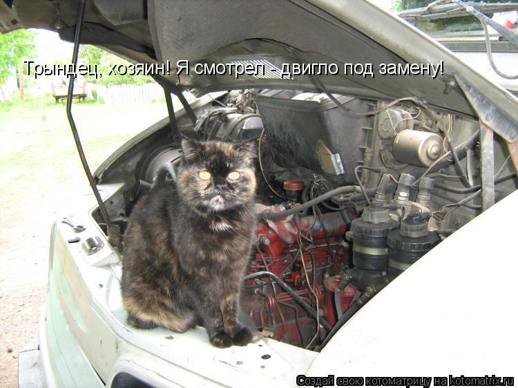 Трындец, хозяин! Я смотрел - двигло под замену!... Котоматрица: Трындец, хозяин! Я смотрел - двигло под замену!