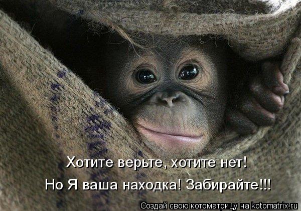 Хотите верьте, хотите нет! Но Я ваша находка! Забирайте!!!... Котоматрица: Хотите верьте, хотите нет! Но Я ваша находка! Забирайте!!!