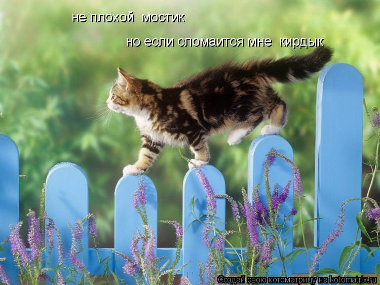 Котоматрица: не плохой  мостик но если сломаится мне  кирдык