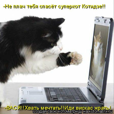 -Не плач тебя спасёт суперкот Котидзе!! -ВАСЯ!!Хвать мечтать!!Иди вискас жрать!... Котоматрица: -Не плач тебя спасёт суперкот Котидзе!! -ВАСЯ!!Хвать мечтать!!Иди вискас жрать!