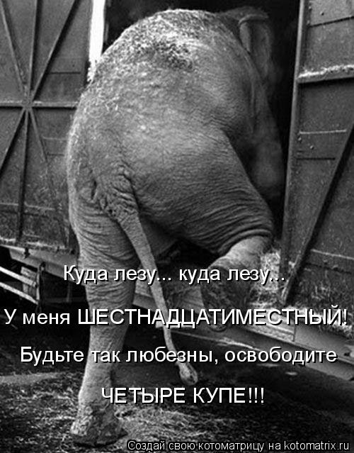 Котоматрица: Куда лезу... куда лезу... У меня ШЕСТНАДЦАТИМЕСТНЫЙ!  Будьте так любезны, освободите  ЧЕТЫРЕ КУПЕ!!!