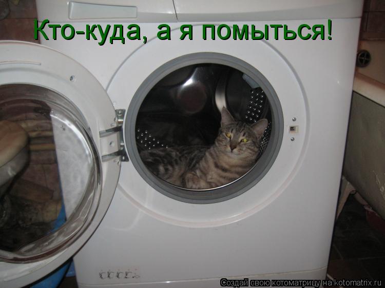 Котоматрица: Кто-куда, а я помыться!