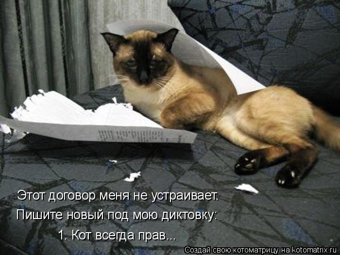 Котоматрица: Этот договор меня не устраивает.  Пишите новый под мою диктовку: 1. Кот всегда прав...