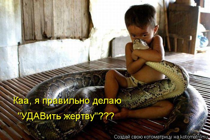Каа, я правильно делаю "УДАВить жертву"???... Котоматрица: Каа, я правильно делаю "УДАВить жертву"???