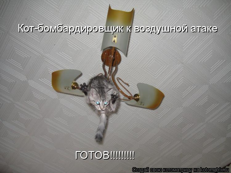 Кот-бомбардировщик к воздушной атаке ГОТОВ!!!!!!!!!... Котоматрица: Кот-бомбардировщик к воздушной атаке ГОТОВ!!!!!!!!!