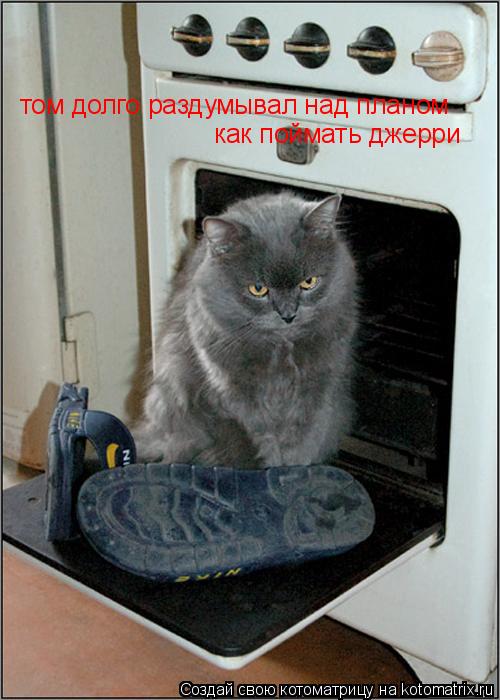 том долго раздумывал над планом как поймать джерри... Котоматрица: том долго раздумывал над планом как поймать джерри