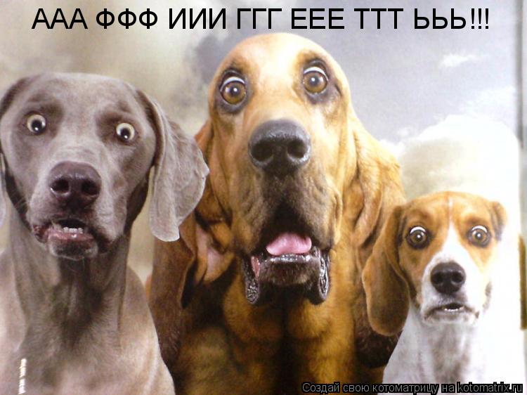 ААА ФФФ ИИИ ГГГ ЕЕЕ ТТТ ЬЬЬ!!!... Котоматрица: ААА ФФФ ИИИ ГГГ ЕЕЕ ТТТ ЬЬЬ!!!