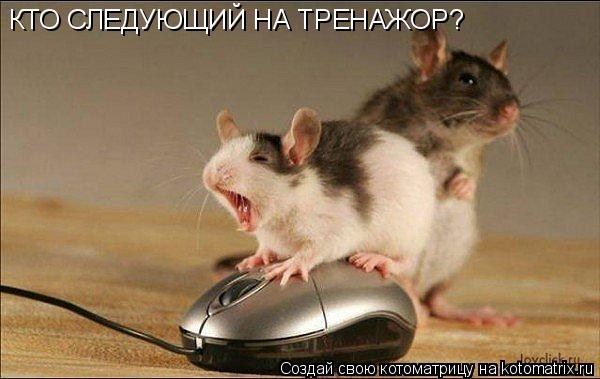 КТО СЛЕДУЮЩИЙ НА ТРЕНАЖОР?... Котоматрица: КТО СЛЕДУЮЩИЙ НА ТРЕНАЖОР?