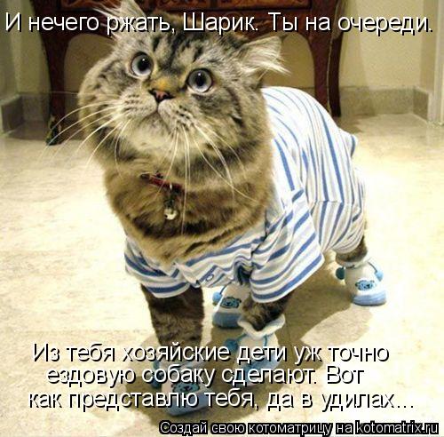 И нечего ржать, Шарик. Ты на очереди. Из тебя хозяйские дети уж точно ездовую собаку сделают. Вот как... Котоматрица: И нечего ржать, Шарик. Ты на очереди. Из тебя хозяйские дети уж точно ездовую собаку сделают. Вот как представлю тебя, да в удилах...