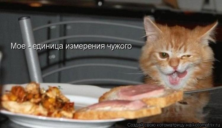 Мое - единица измерения чужого... Котоматрица: Мое - единица измерения чужого