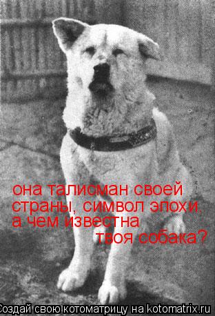 Котоматрица: она талисман своей страны, символ эпохи. а чем известна твоя собака?