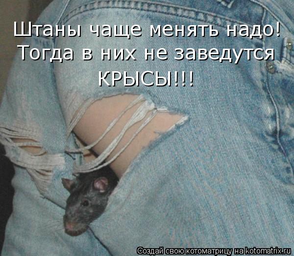 Штаны чаще менять надо! Тогда в них не заведутся КРЫСЫ!!!... Котоматрица: Штаны чаще менять надо! Тогда в них не заведутся КРЫСЫ!!!