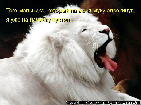 Того мельника, который на меня муку опрокинул, я уже на начинку пустил...... Котоматрица: Того мельника, который на меня муку опрокинул, я уже на начинку пустил...