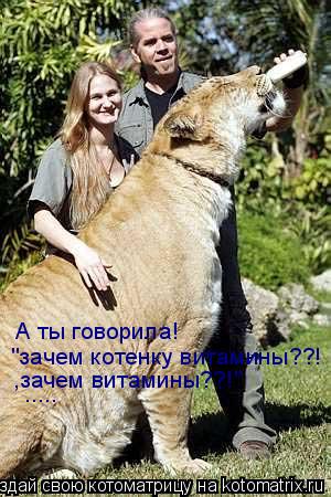 А ты говорила! "зачем котенку витамины??! ,зачем витамины??!" ........ Котоматрица: А ты говорила! "зачем котенку витамины??! ,зачем витамины??!" .....