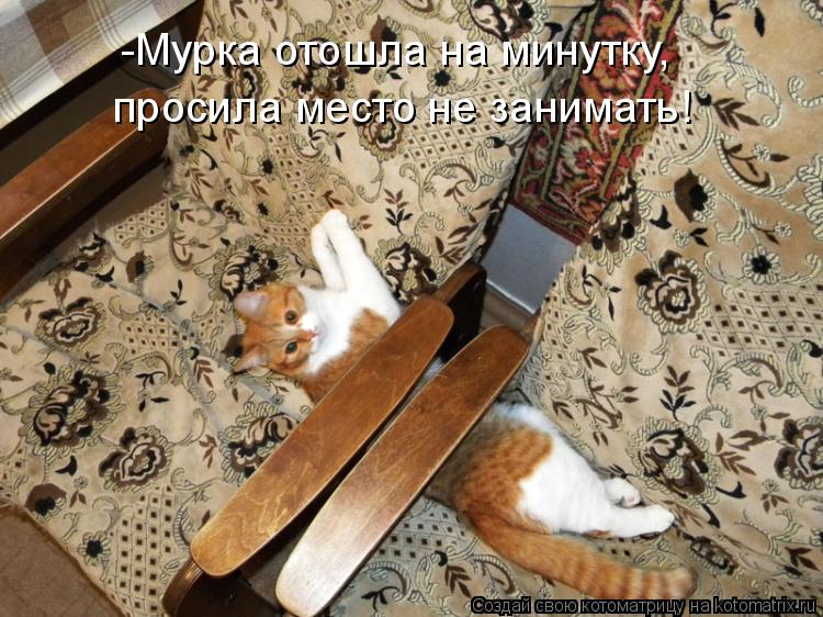 Котоматрица: -Мурка отошла на минутку,  -Мурка отошла на минутку,  просила место не занимать!