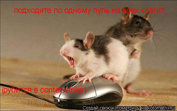 Котоматрица: рубится в conter-strike  подходите по одному пуль на всех хватит (                                                   )